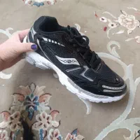 کفش نو|کیف، کفش، کمربند|پرند, فاز ۲|دیوار