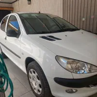 ۲۰۶ بیرنگ و شاسی پلمپ