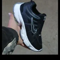 کتاب تاریخی|کتاب و مجله تاریخی|سبزوار, مدرس|دیوار