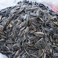 تخمه دور سفید خوشمزه