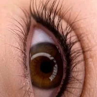 مدل فیبروز شیدینگ لب و شیدچشم توسط مستر مدت محدود|خدمات آرایشگری و زیبایی|تهران, تهرانپارس جنوبی|دیوار