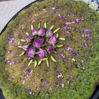 کیک عصرانه