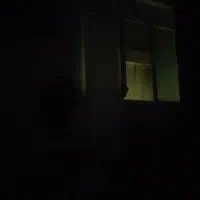 همخانه
