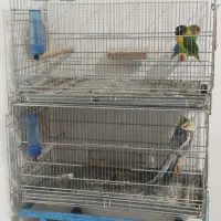 قفس پرنده دوطبقه*|لوازم جانبی حیوانات|مشهد, تلگرد|دیوار