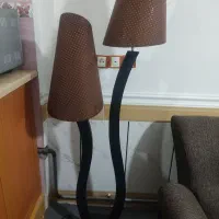آباژور کاملا سالم