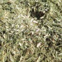 کاه لوبیا قرمز