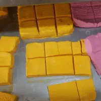 فروش / اجاره کارخانه تولید محصولات فریزدرایر