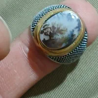 انگشتر یاقوت استار سرخ و شجر قائنات منظره بینظیر|بدلیجات|کرج, شهرک بنفشه|دیوار