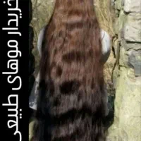 موی طبیعی