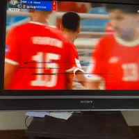 تلوزیون