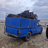 خرید و فروش اسب و مادیان پالانی|اسب و تجهیزات اسبسواری|کرمانشاه, |دیوار