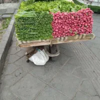 سبزی خوردن|خوردنی و آشامیدنی|تهران, مظاهری|دیوار