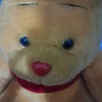 خرس|اسباب‌بازی بچه|اقبالیه, |دیوار