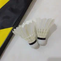 راکت بدمینتون ول کولد با کاور و توپ پر|ورزشهای توپی|گلبهار, شهر جدید گلبهار|دیوار