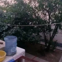 ویلایی-واوان-مطهری-126-متری-جنوبی