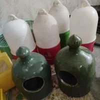 کبوتر|لوازم جانبی حیوانات|اهواز, کوی رمضان|دیوار