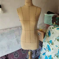 مانکن سوزن خور نو