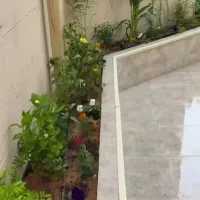 باغبانی|خدمات باغبانی و درختکاری|بندر ماهشهر, |دیوار