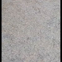 تفاله چغندر خیس و خشک