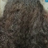 بمب ویژه پروتیین تراپی و کراتین|خدمات آرایشگری و زیبایی|شیراز, ملاصدرا|دیوار