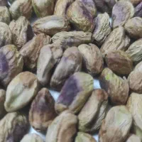 مغز کردن پسته|خوردنی و آشامیدنی|قم, آزادگان|دیوار
