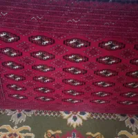 یک جفت پشتی سایز متوسط شیک وتمیز ۴