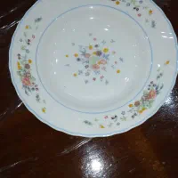 بشقاب سوپ خوری