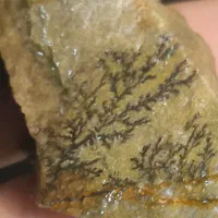 سنگ شجر طبس