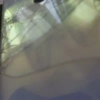 گوشی موبایل ریلمی پرچمدار relmi x2 pro|موبایل|مرند, |دیوار