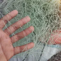 تور قبادی
