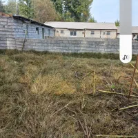 کارگرمرغداری