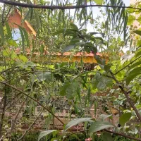 رهن اجاره یک ساله