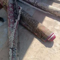 فرش|فرش|سبزوار, امام خمینی (ناوی)|دیوار