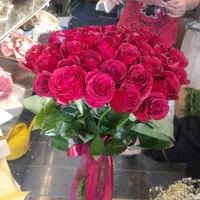 گل رز هلندی قرمز  دسته گل باکس گل فقط شاخه 20 ت|گل و گیاه طبیعی|مشهد, انصار|دیوار