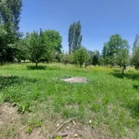 ۱۰۰۰متر کولج بافت ویلایی طالقان