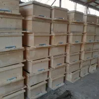 تولید کندو عسل/ قاب/ طبق