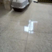 باکس حمل سگ و گربه و حیوان خانگی
