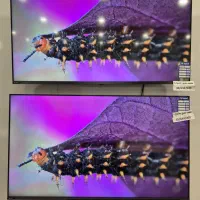 آخرین فرصت خرید