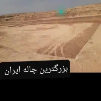استخدامی