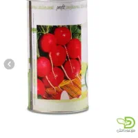 بذر تربچه چریبل ایتالیا