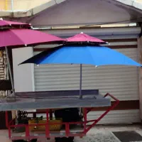 فروش گاری آماده برای کاسبی کردن و یا میوه فروشی|حراج|رشت, دیانتی|دیوار