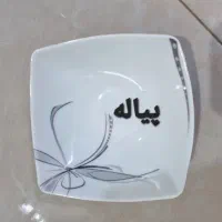 سرویس چینی پردیس درحدنو|ظروف سرو و پذیرایی|بوئین زهرا, |دیوار