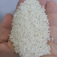 برنج هاشمی آستانه اشرفیه خالص خالص