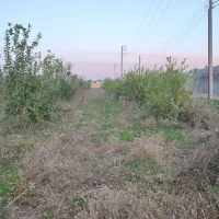زمین باغچه