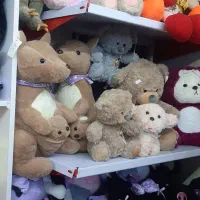 عروسک هوشمند/ پولیشی/باربی/اکسوری|اسباب‌‌بازی|کرج, شاهین‌ویلا|دیوار