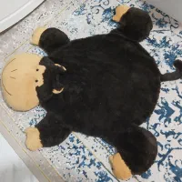 پادری