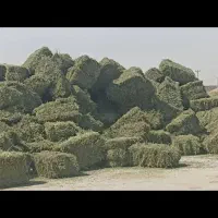 یونجه پرس و خرمنکوب