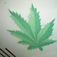 ویلاتو قسطی بساز