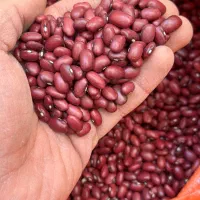 حبوبات عمده|خوردنی و آشامیدنی|تهران, بهمن یار|دیوار