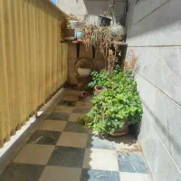 ریلمی جی تی مستر